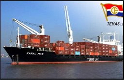 Pengendali PT Temas (TMAS) borong saham untuk investasi langsung