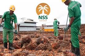 NSSS Tegaskan Berita Akuisisi PT Nusantara Sawit Persada di Media Sosial Adalah Tidak Benar